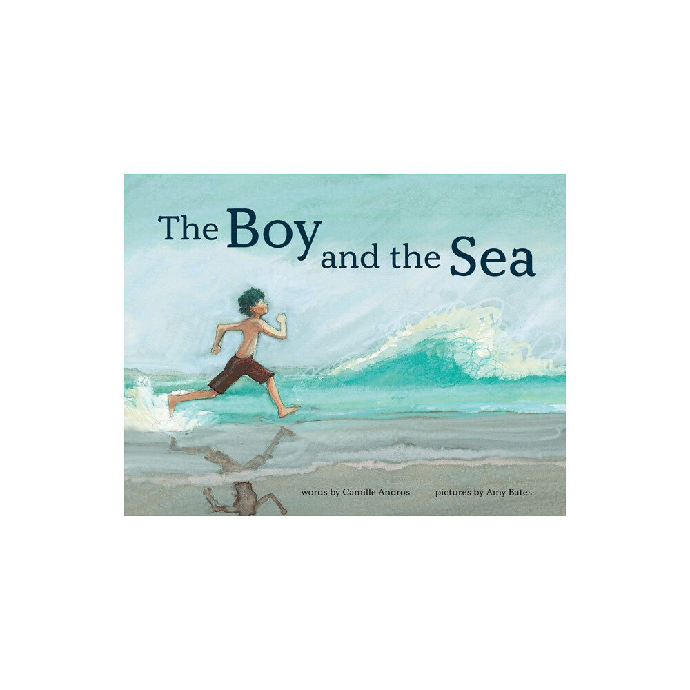 Abrams The Boy and the Sea (inbunden, eng)