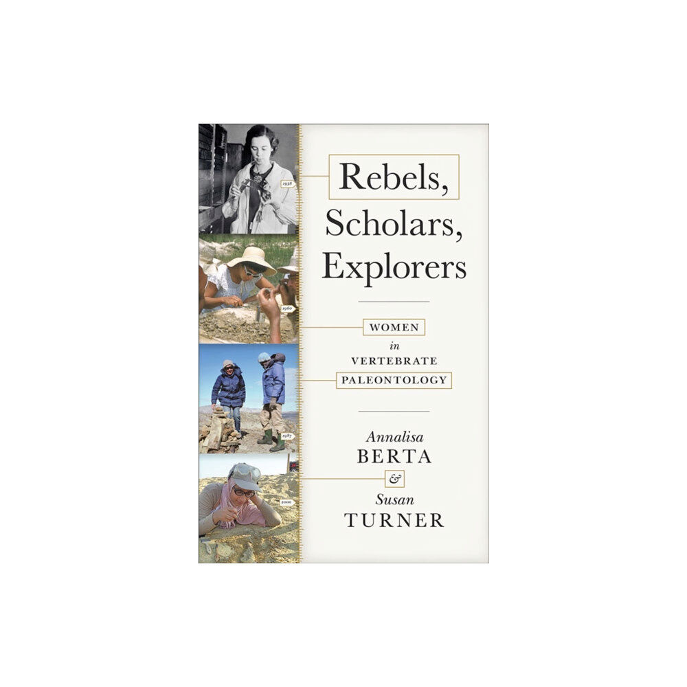 Johns Hopkins University Press Rebels, Scholars, Explorers (inbunden, eng)