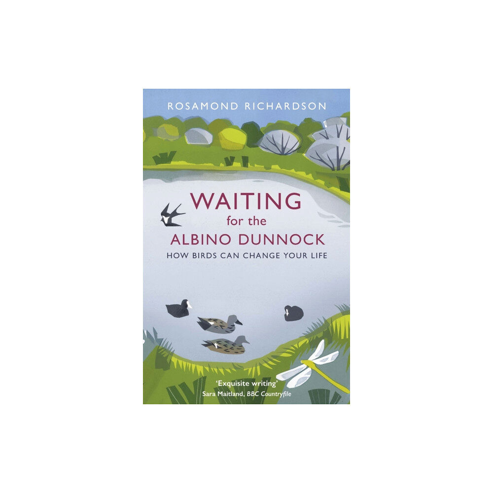 Orion Publishing Co Waiting for the Albino Dunnock (häftad, eng)