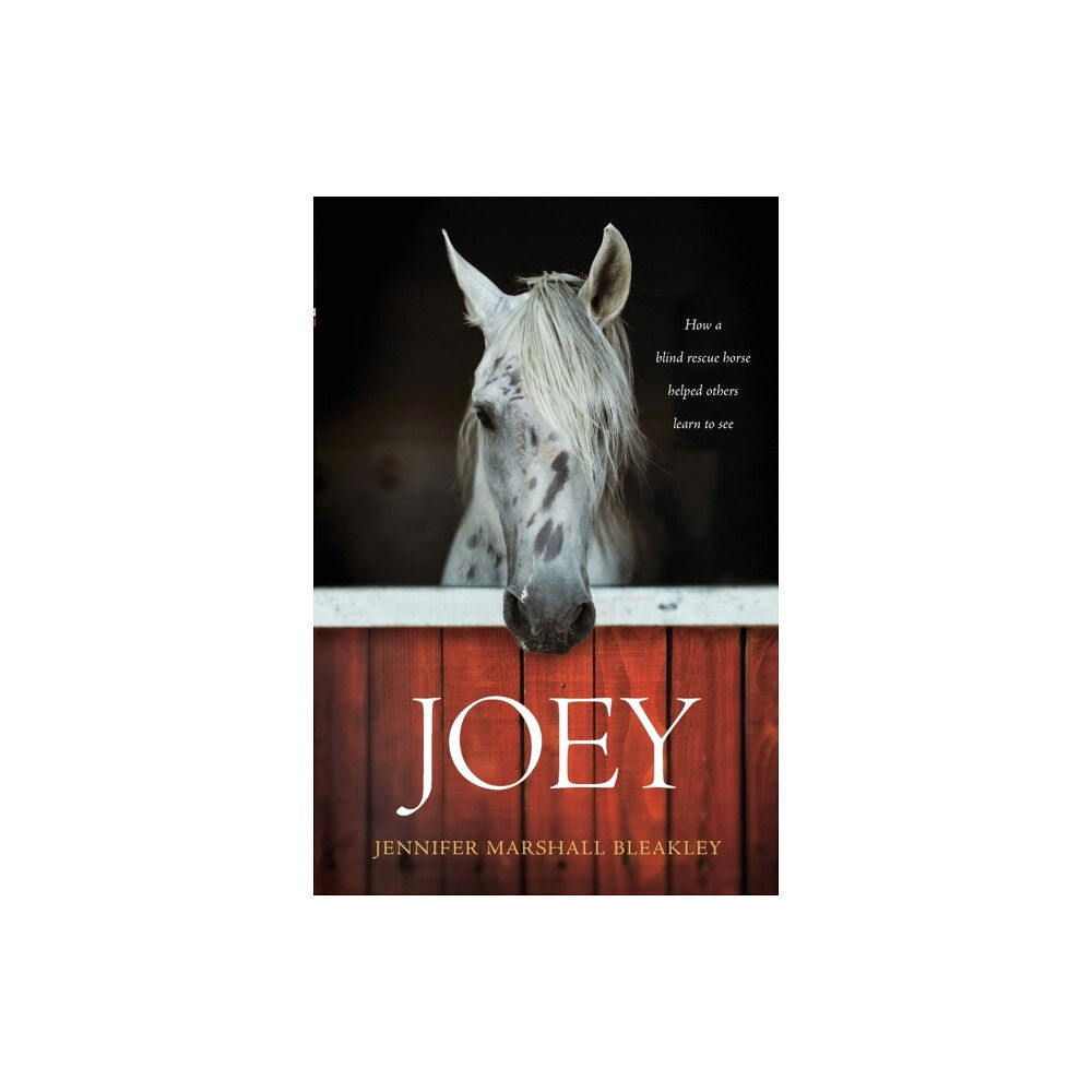 Tyndale House Publishers Joey (häftad, eng)