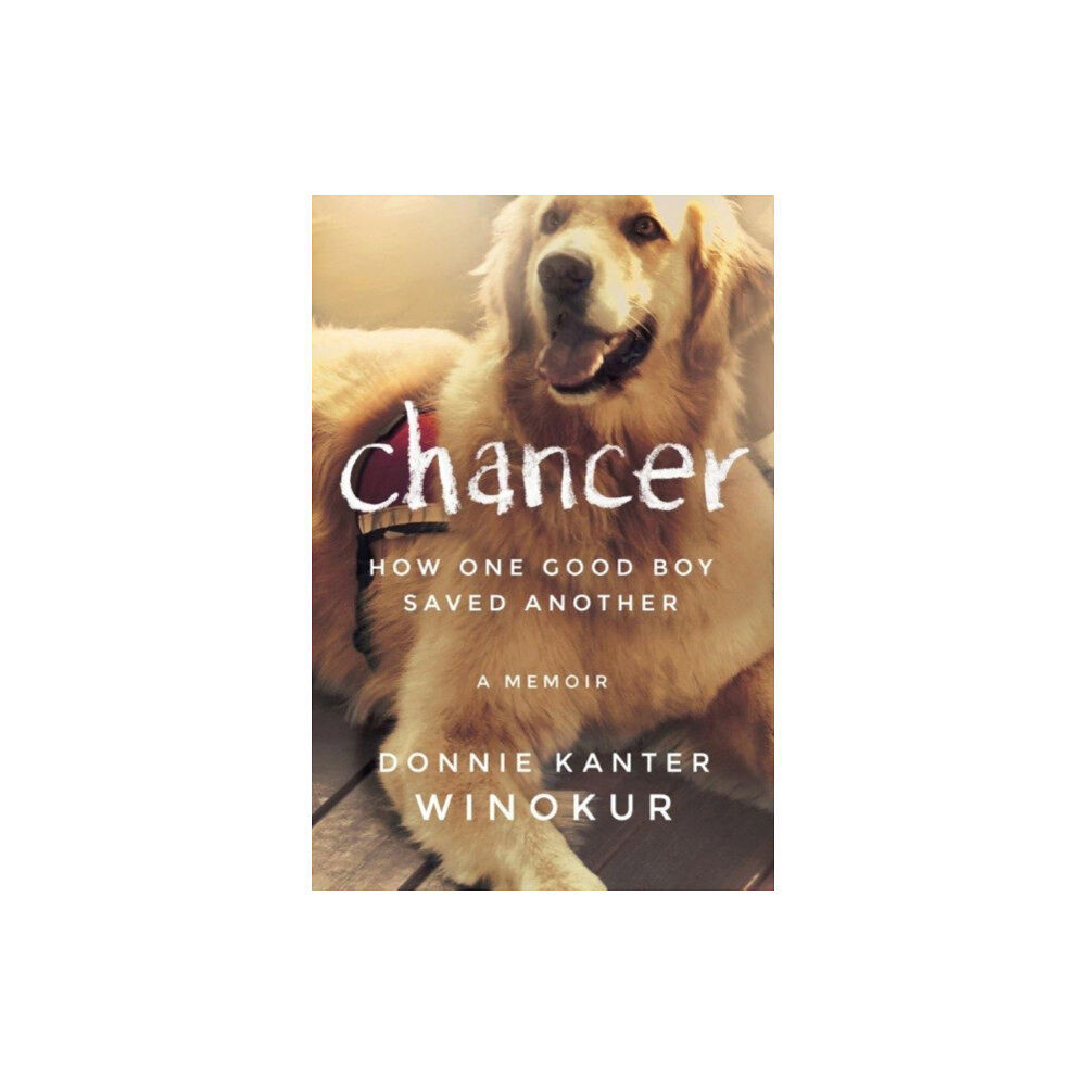 Amazon Publishing Chancer (häftad, eng)