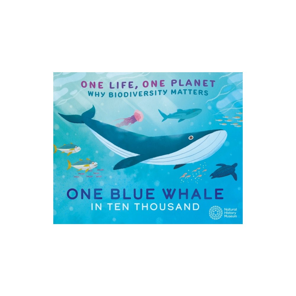 Hachette Children's Group One Life, One Planet: One Blue Whale in Ten Thousand (häftad, eng)
