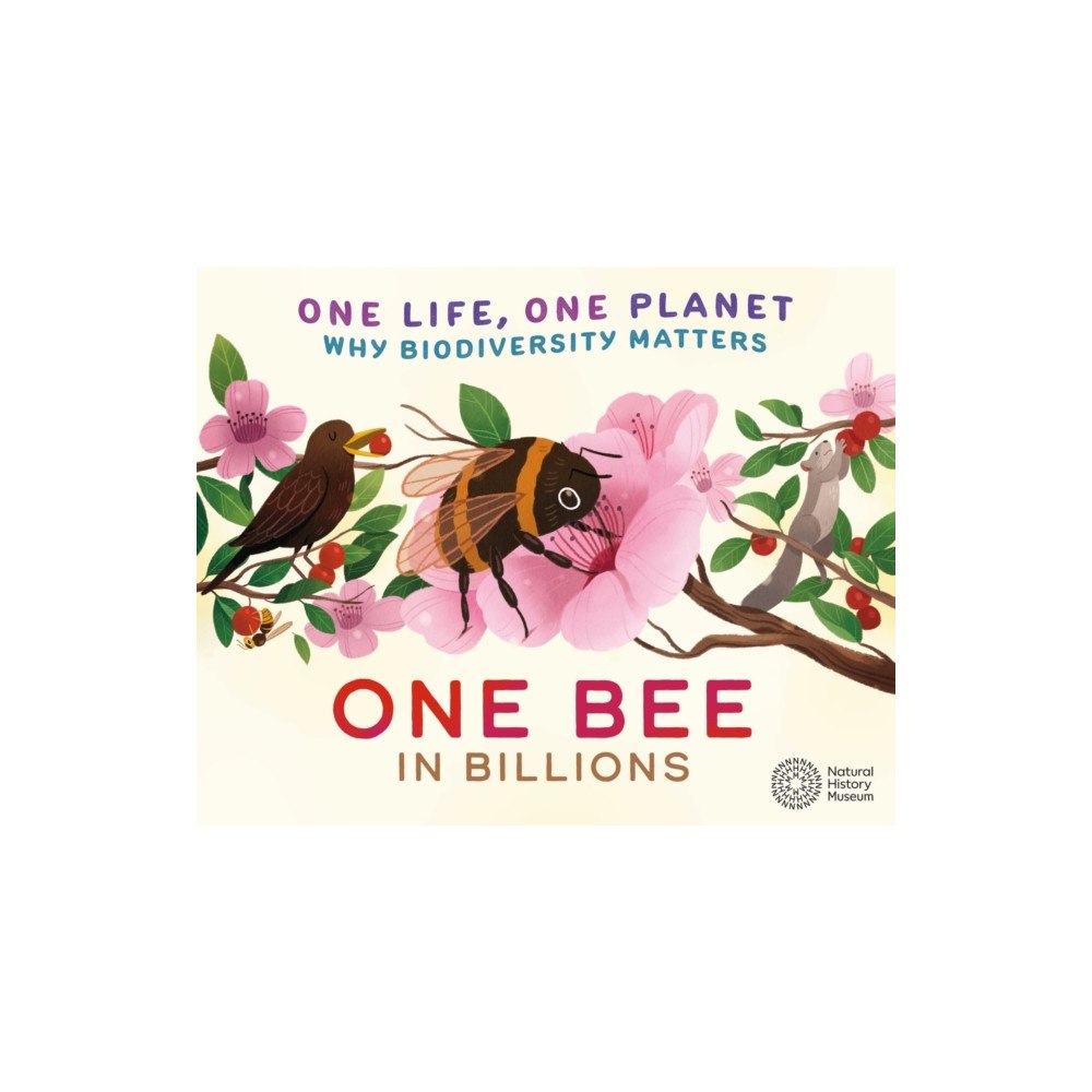 Hachette Children's Group One Life, One Planet: One Bee in Billions (häftad, eng)