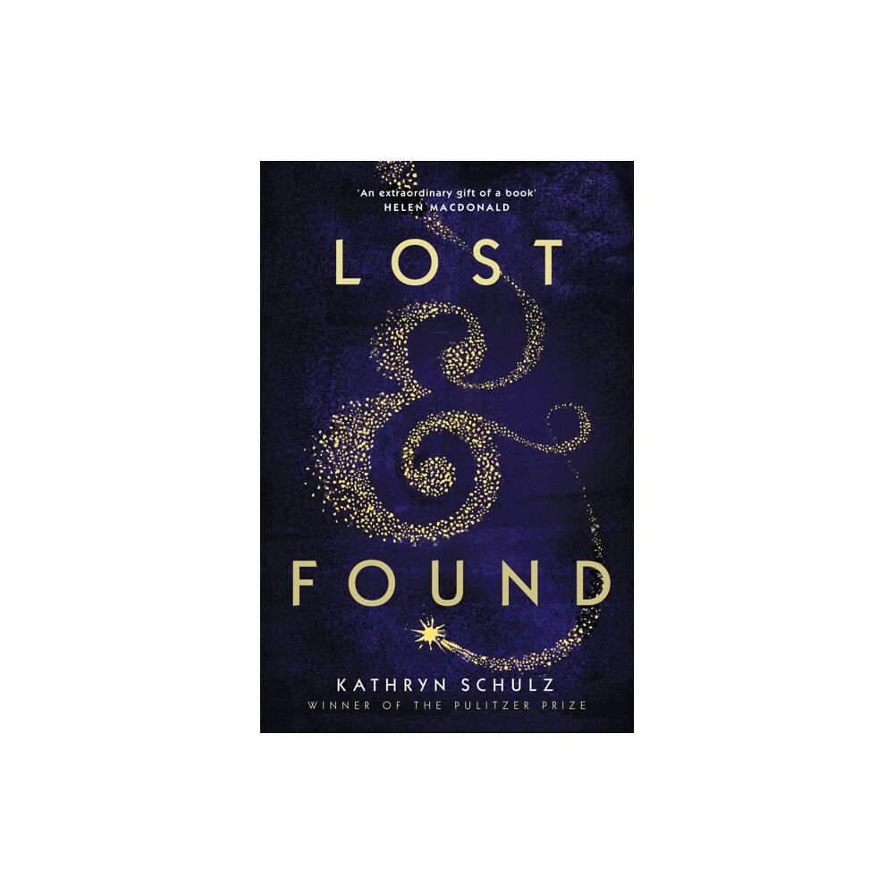 Pan Macmillan Lost & Found (häftad, eng)