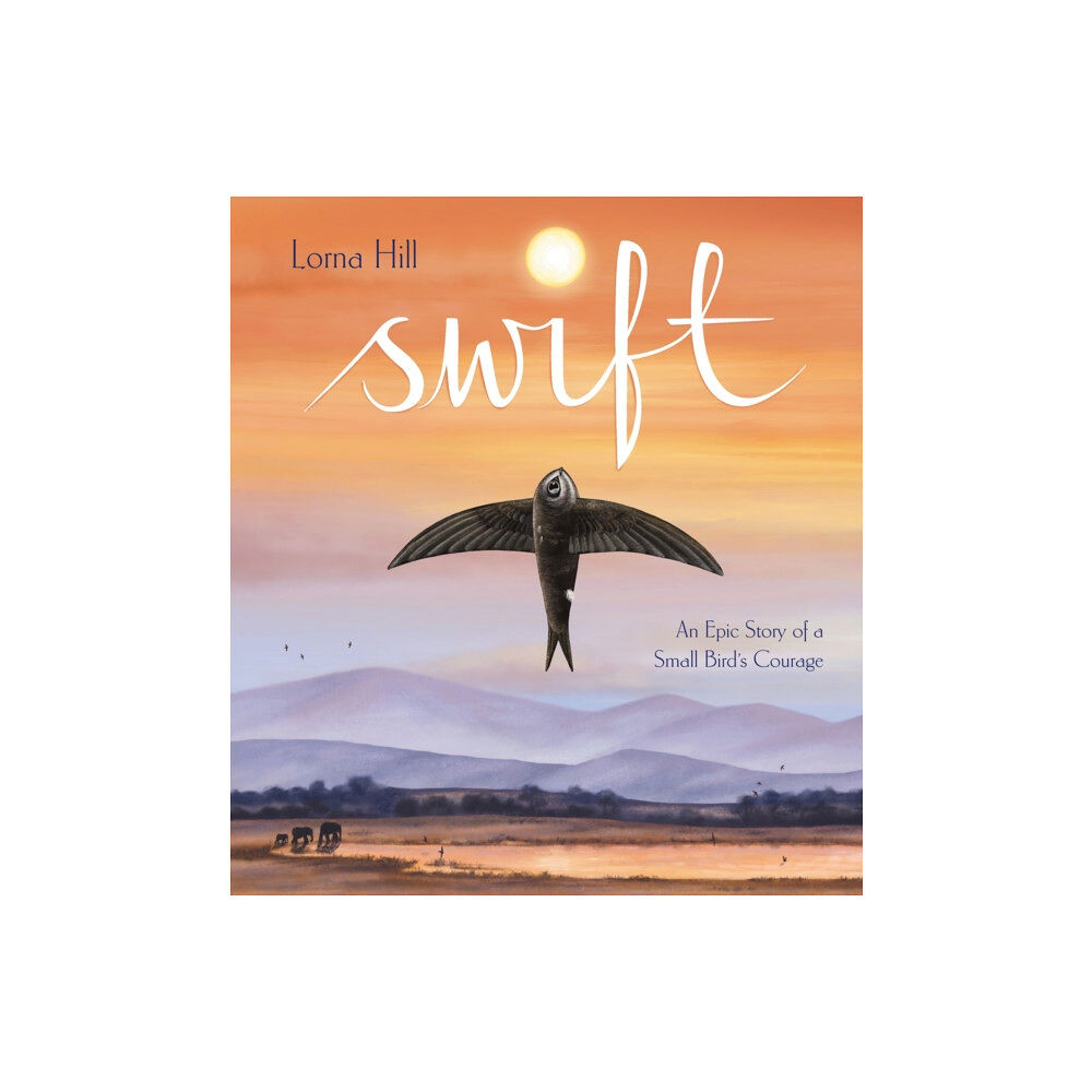 Hachette Children's Group Swift (häftad, eng)