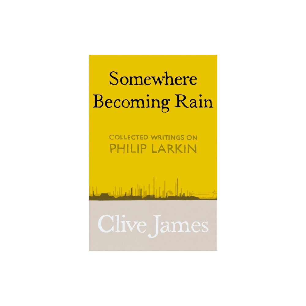 Pan Macmillan Somewhere Becoming Rain (inbunden, eng)