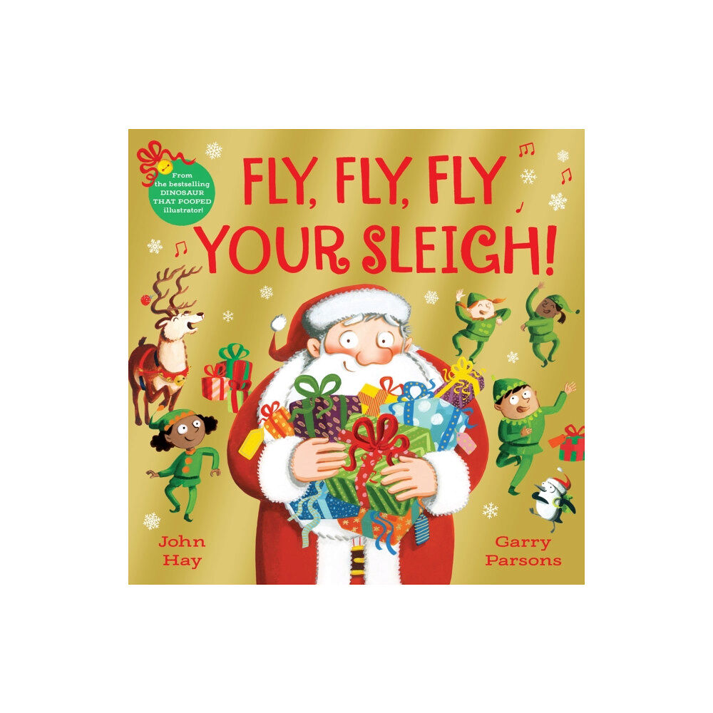 Pan Macmillan Fly, Fly, Fly Your Sleigh (häftad, eng)