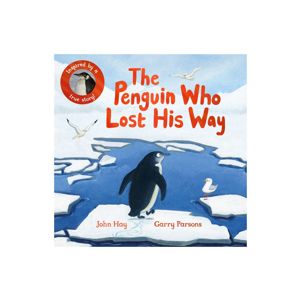 Pan Macmillan The Penguin Who Lost His Way (häftad, eng)