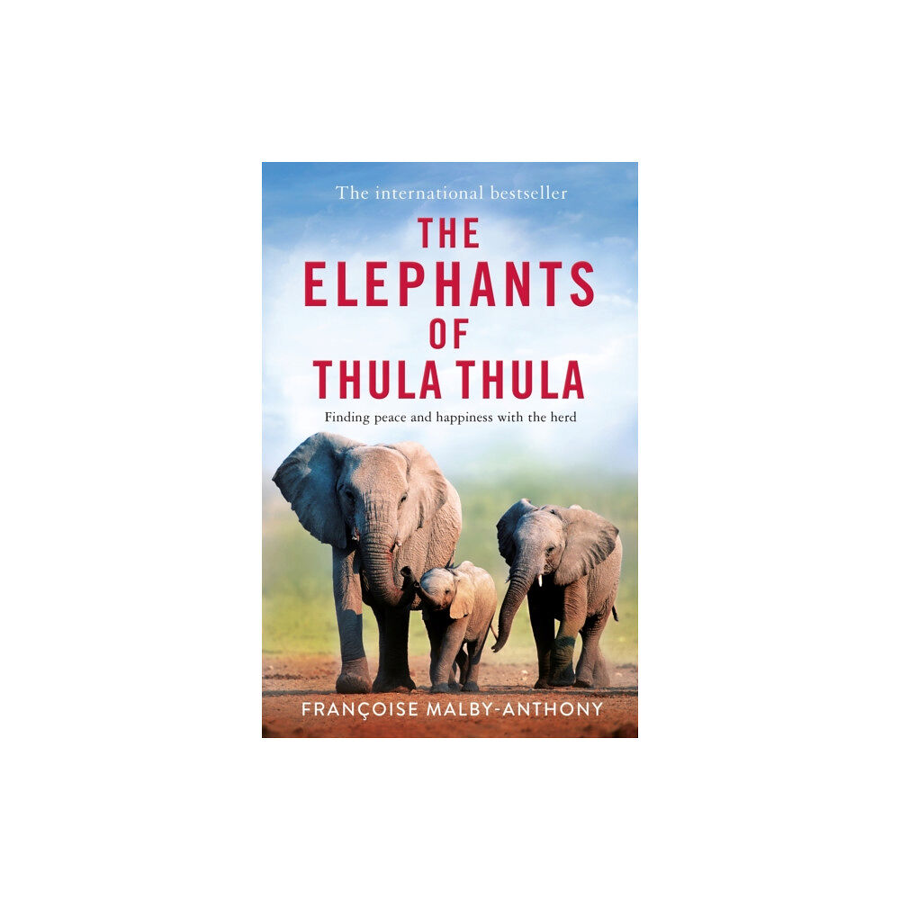 Pan Macmillan The Elephants of Thula Thula (häftad, eng)