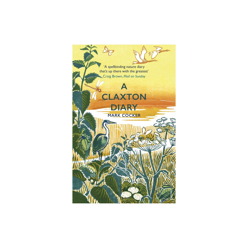 Vintage Publishing A Claxton Diary (häftad, eng)