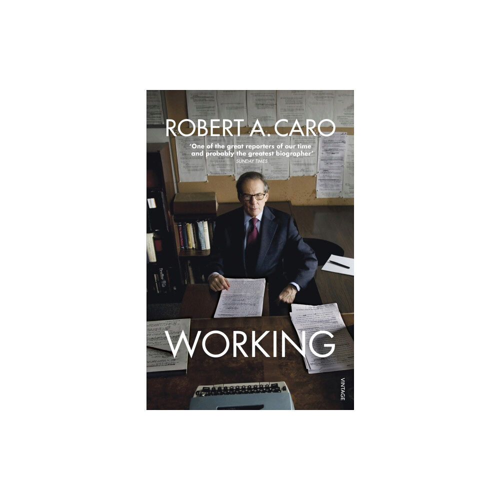 Vintage Publishing Working (häftad, eng)