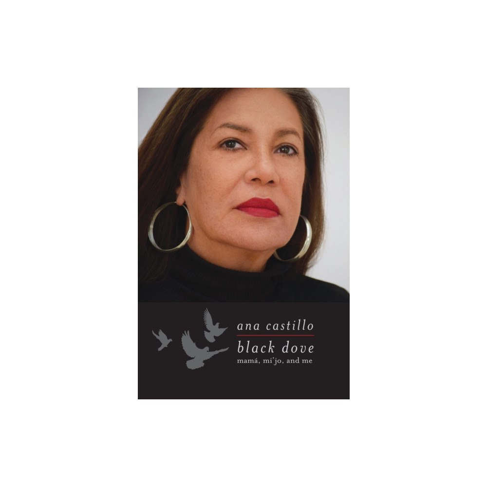 Feminist Press at The City University of New York Black Dove (häftad, eng)