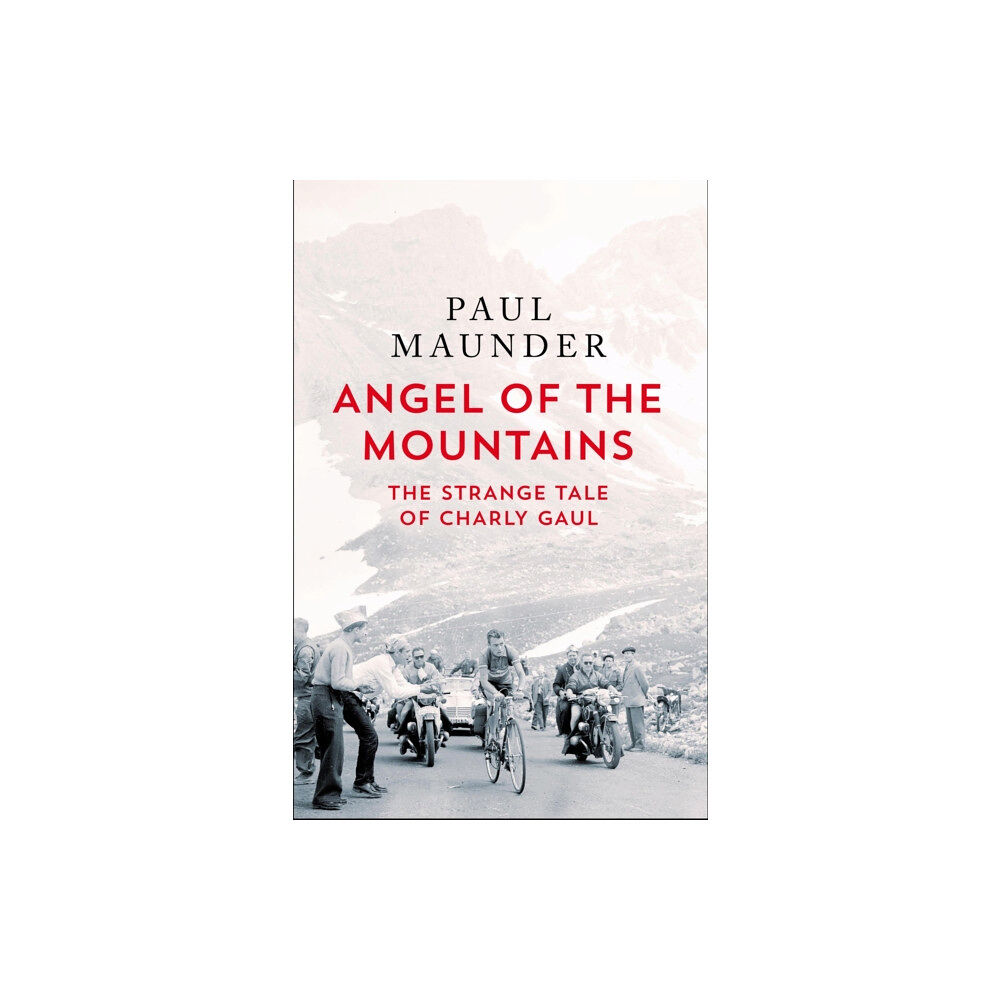 Quercus Publishing Angel of the Mountains (häftad, eng)