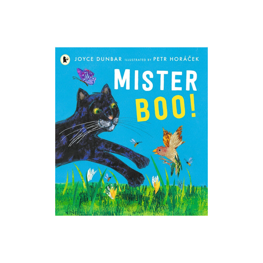 Walker Books Ltd Mister Boo! (häftad, eng)