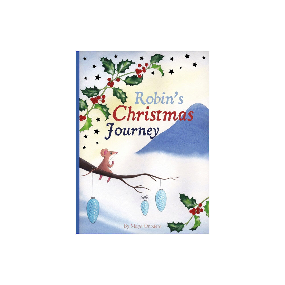 Clavis Publishing Robin's Christmas Journey (inbunden, eng)