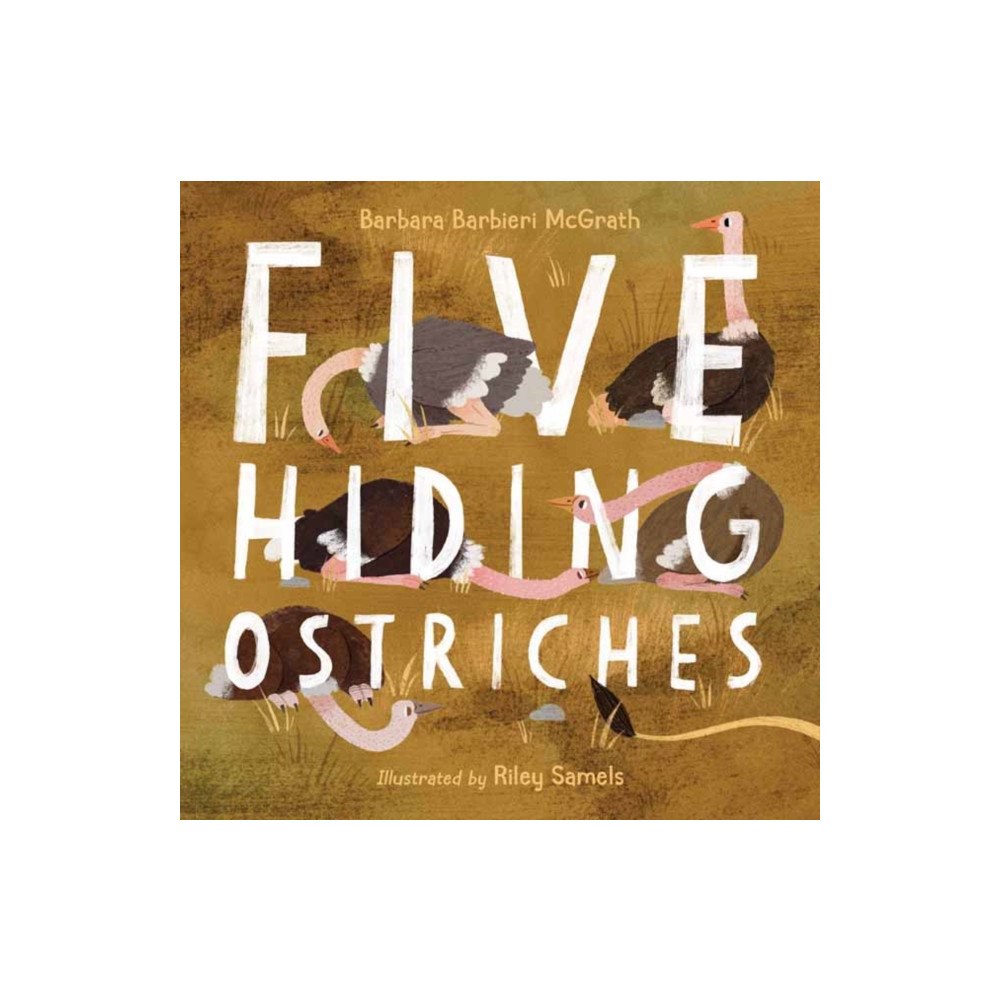 Charlesbridge Publishing,U.S. Five Hiding Ostriches (inbunden, eng)