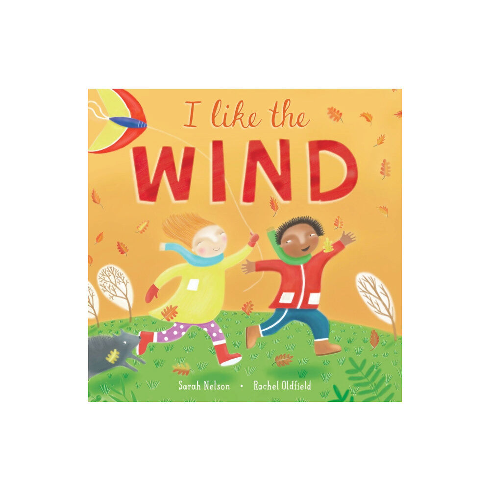 Barefoot Books, Incorporated I Like the Wind (inbunden, eng)