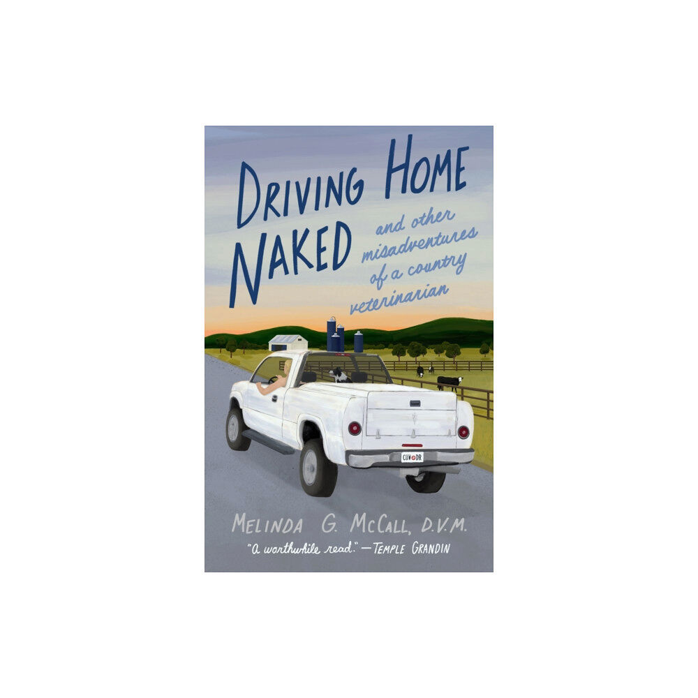 She Writes Press Driving Home Naked (häftad, eng)