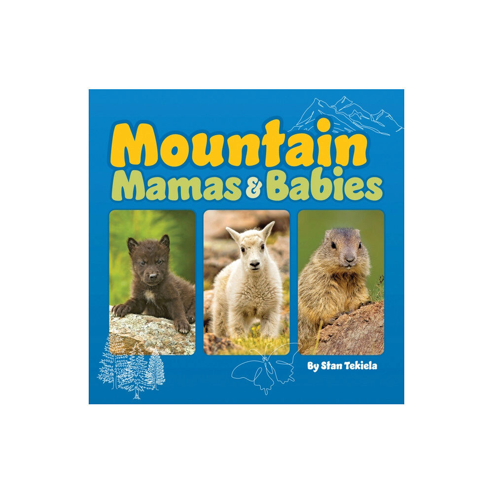 Adventure Publications, Incorporated Mountain Mamas and Babies (bok, board book, eng)