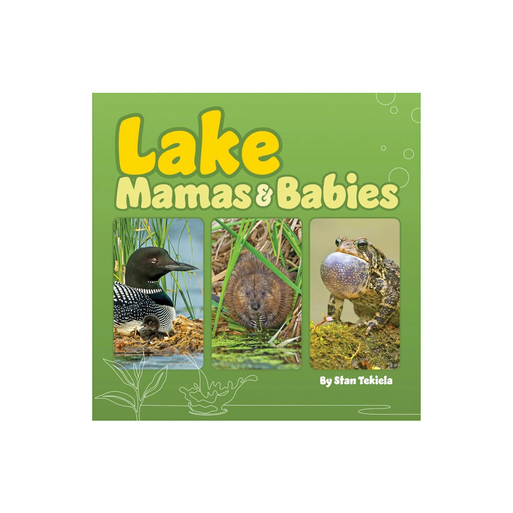 Adventure Publications, Incorporated Lake Mamas and Babies (bok, board book, eng)