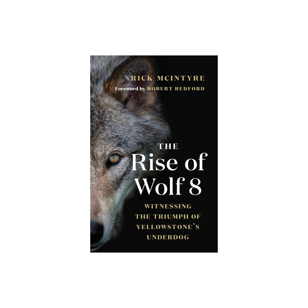 Greystone Books,Canada The Rise of Wolf 8 (häftad, eng)