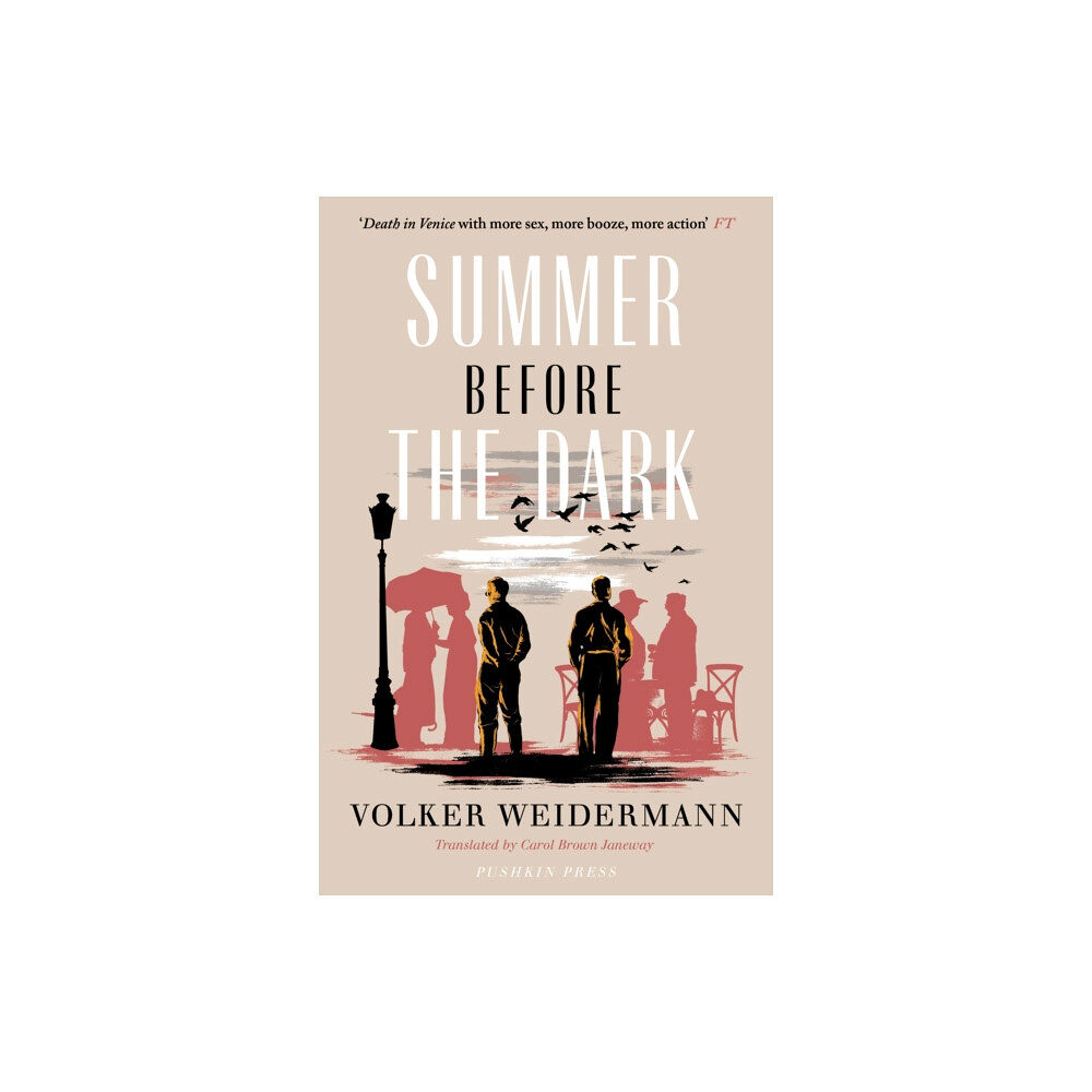 Pushkin Press Summer Before the Dark (häftad, eng)