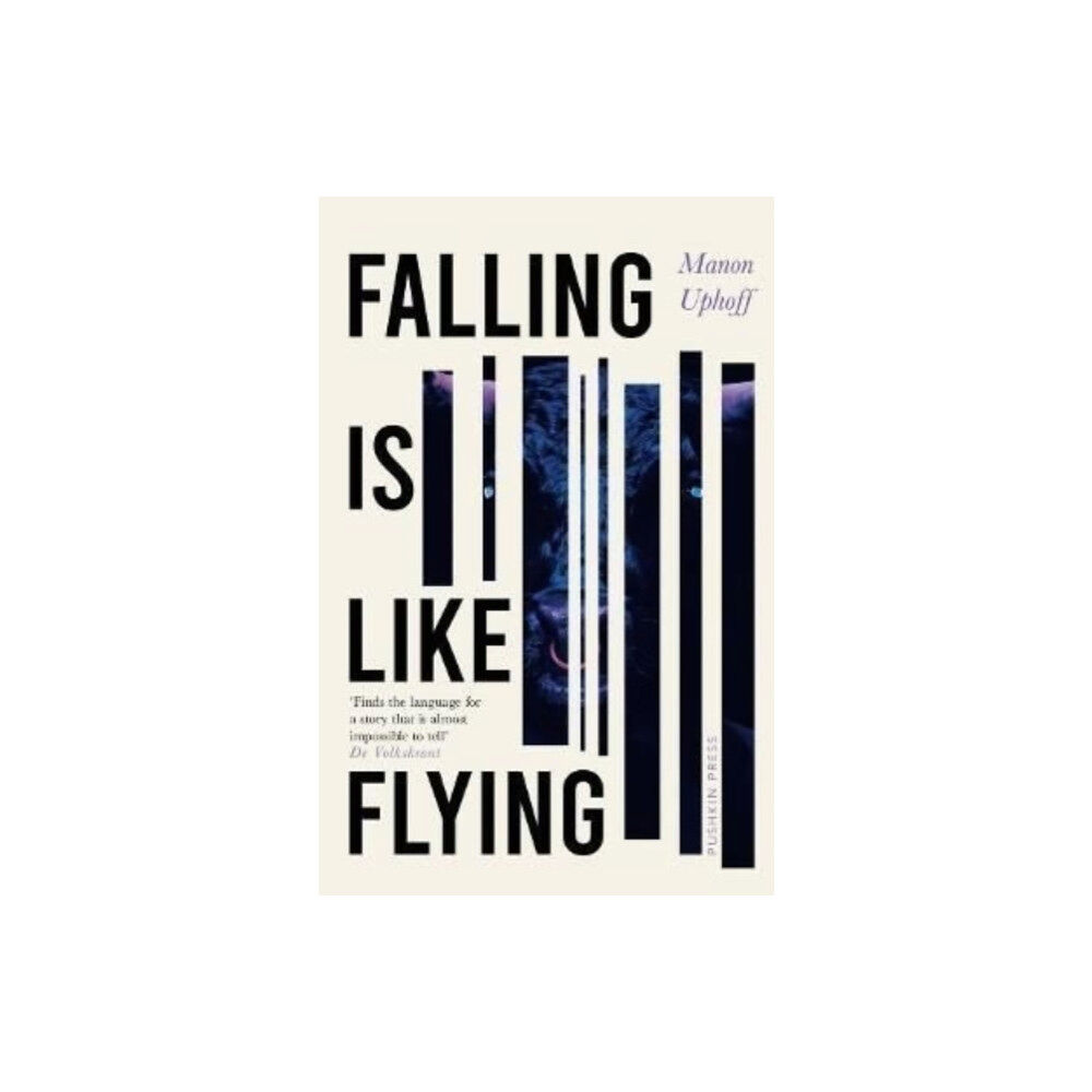 Pushkin Press Falling is Like Flying (häftad, eng)