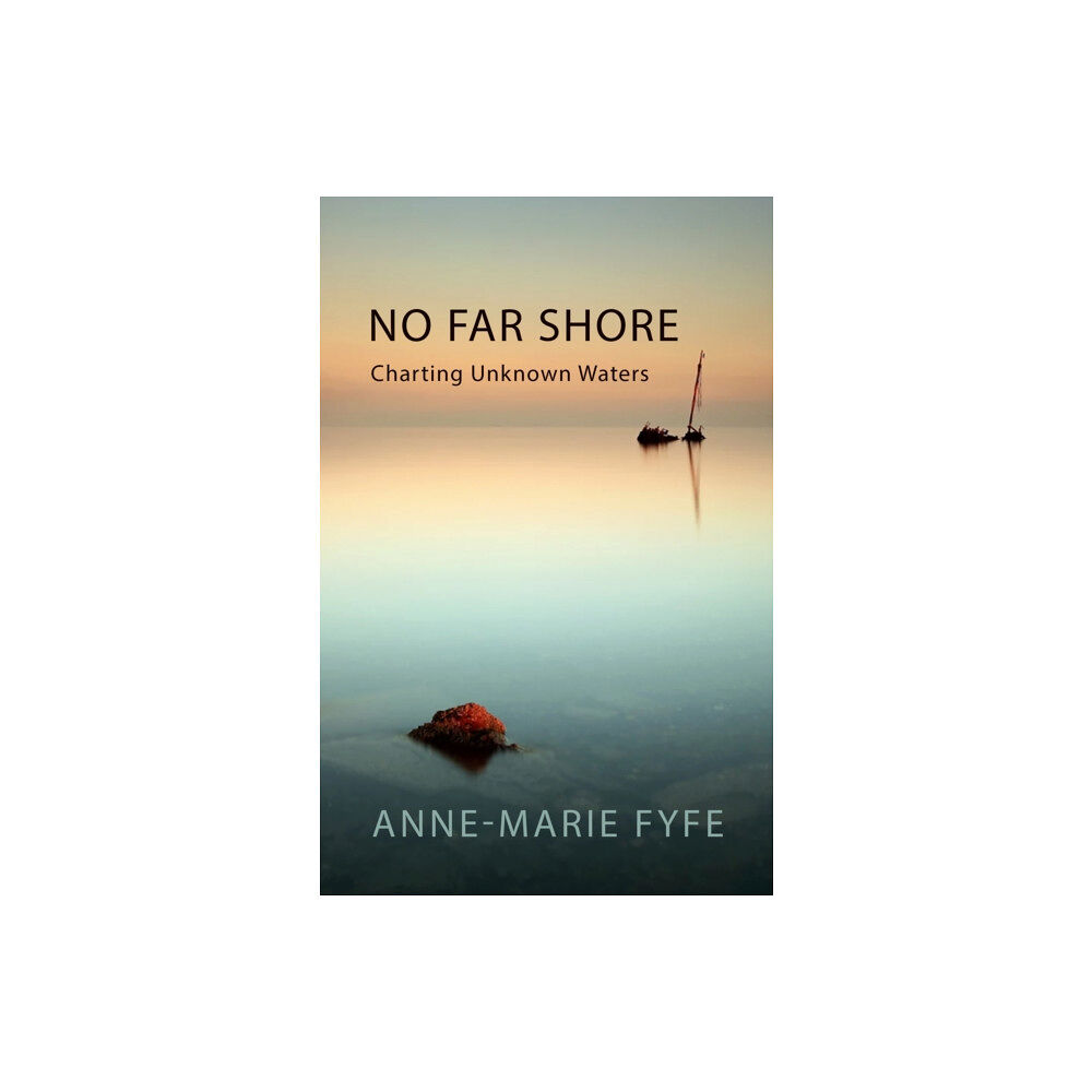 Poetry Wales Press No Far Shore (häftad, eng)