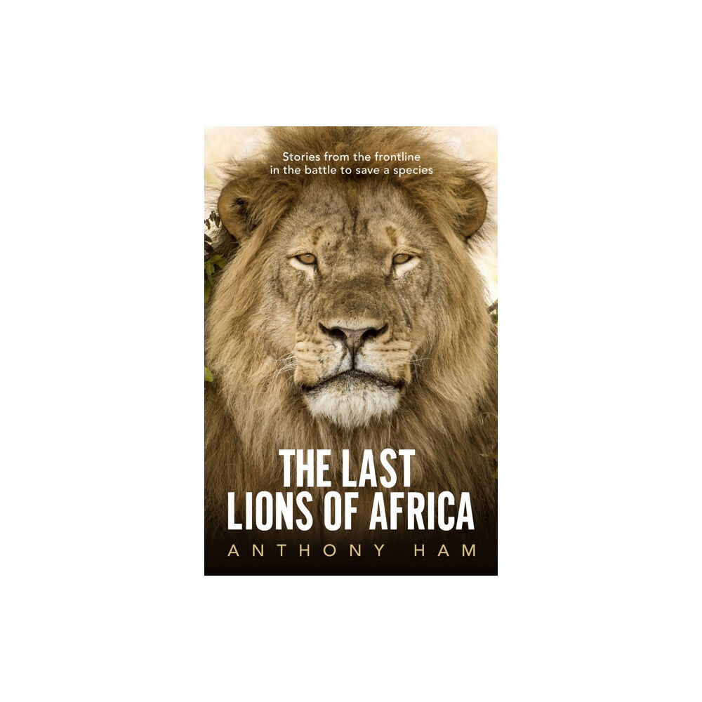 Allen & Unwin The Last Lions of Africa (häftad, eng)