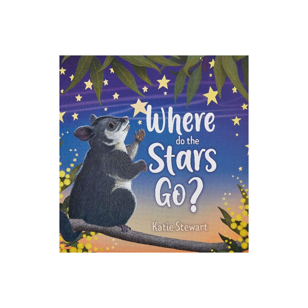 Fremantle Press Where do the stars go? (inbunden, eng)