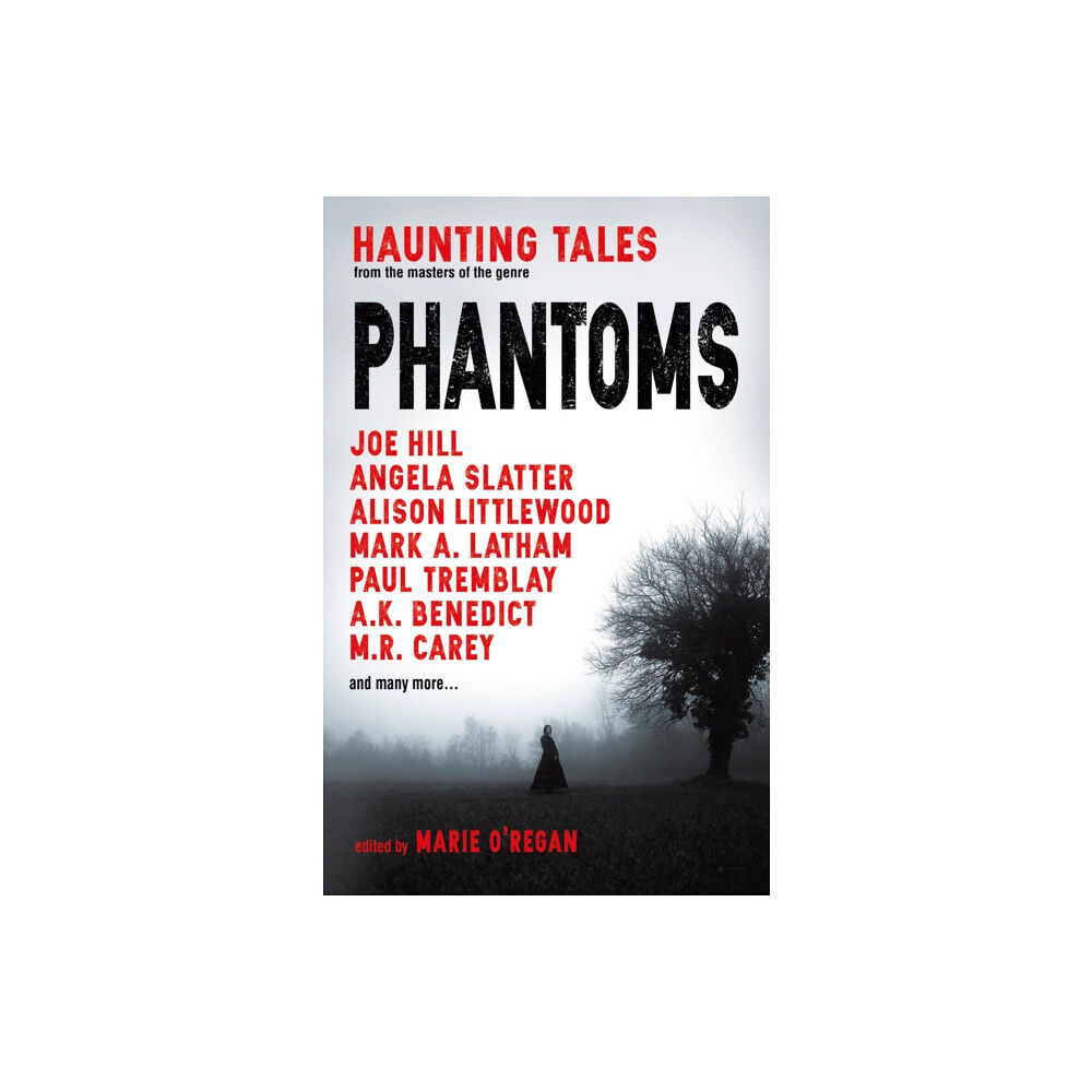 Titan Books Ltd Phantoms: Haunting Tales from Masters of the Genre (häftad, eng)