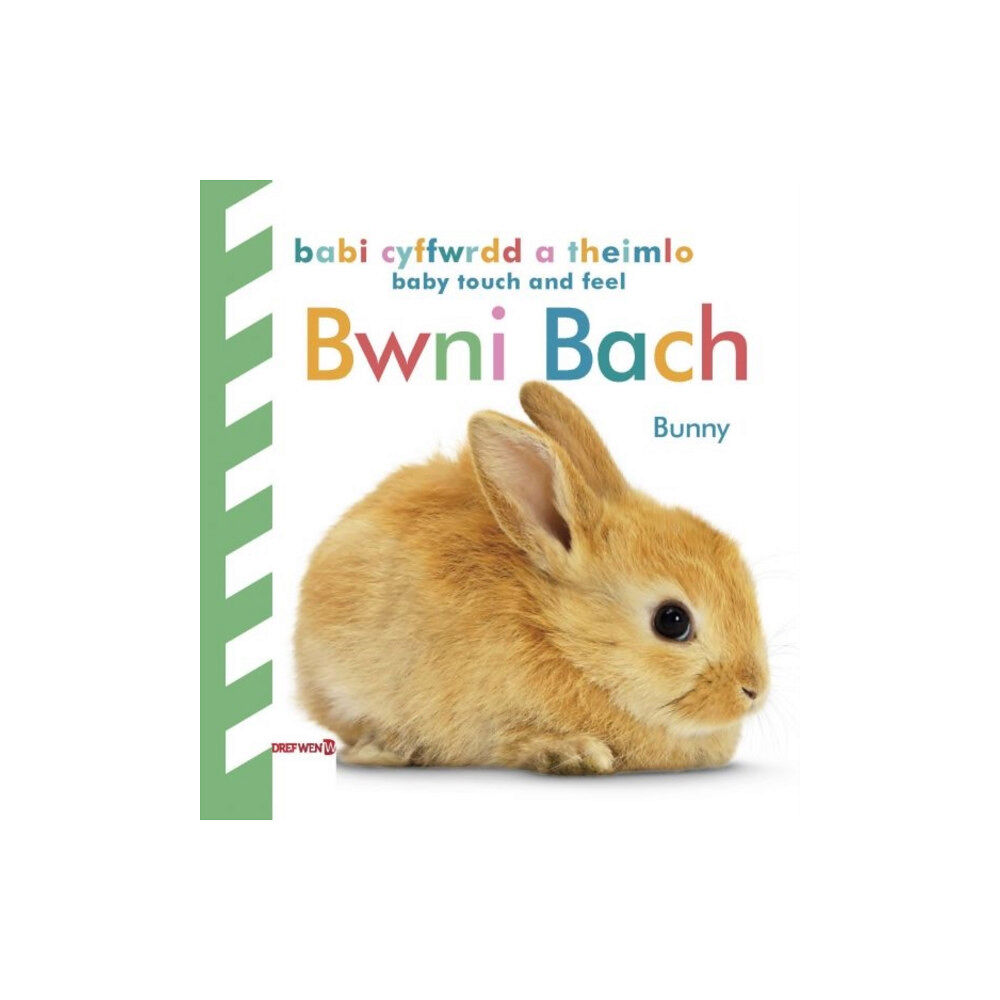 Dref Wen Babi Cyffwrdd a Theimlo: Bwni Bach / Baby Touch and Feel: Bunny (inbunden, eng)