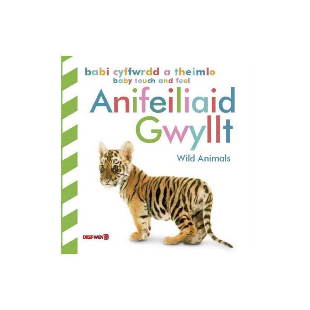 Dref Wen Babi Cyffwrdd a Theimlo: Anifeiliaid Gwyllt / Baby Touch and Feel: Wild Animals (inbunden, eng)