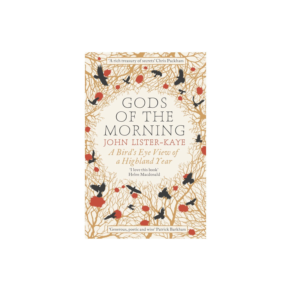 Canongate Books Gods of the Morning (häftad, eng)
