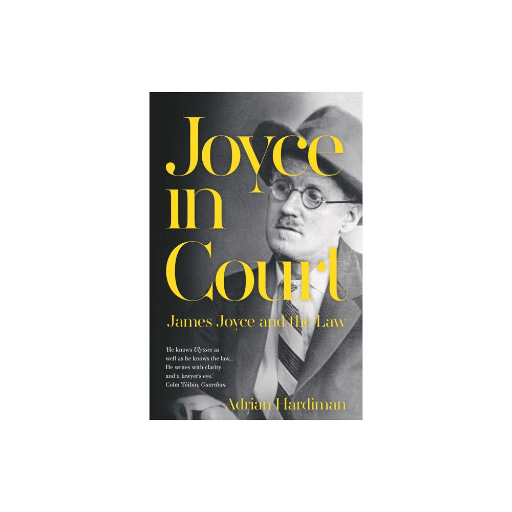 Bloomsbury Publishing PLC Joyce in Court (häftad, eng)