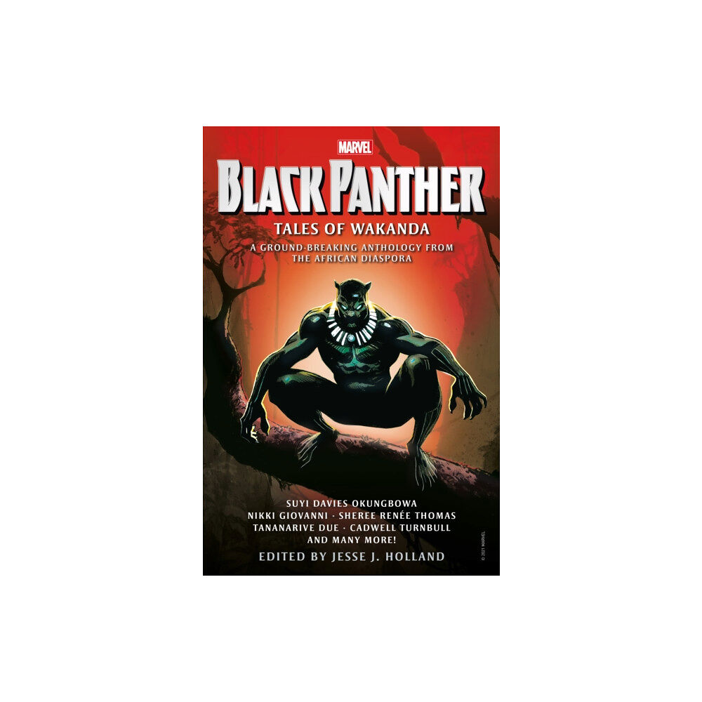 Titan Books Ltd Black Panther: Tales of Wakanda (häftad, eng)