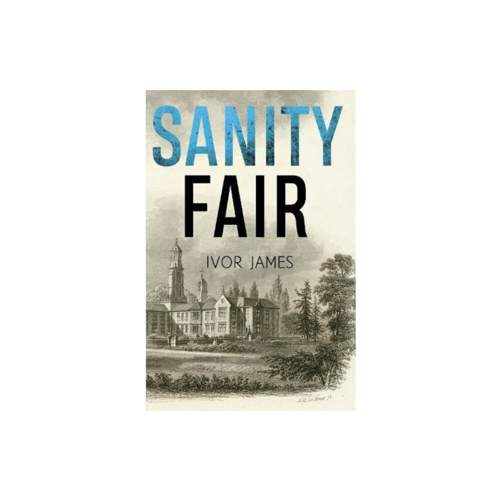 Pegasus Elliot Mackenzie Publishers Sanity Fair (häftad, eng)