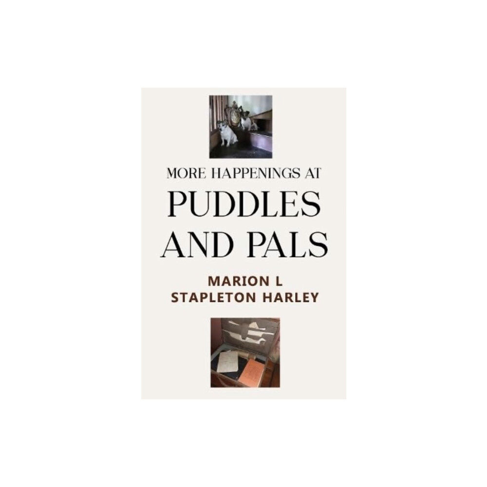 Pegasus Elliot Mackenzie Publishers More Happenings at PUDDLES AND PALS (häftad, eng)