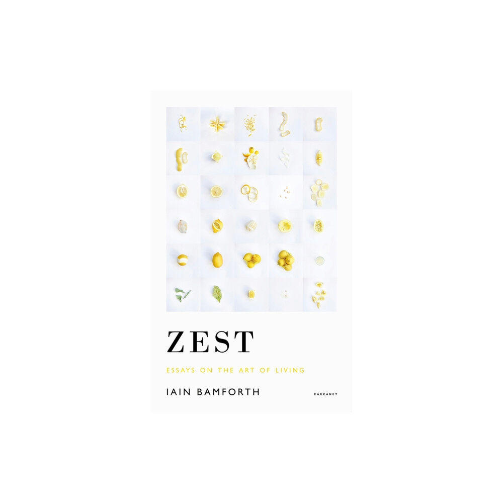 Carcanet Press Ltd Zest (häftad, eng)