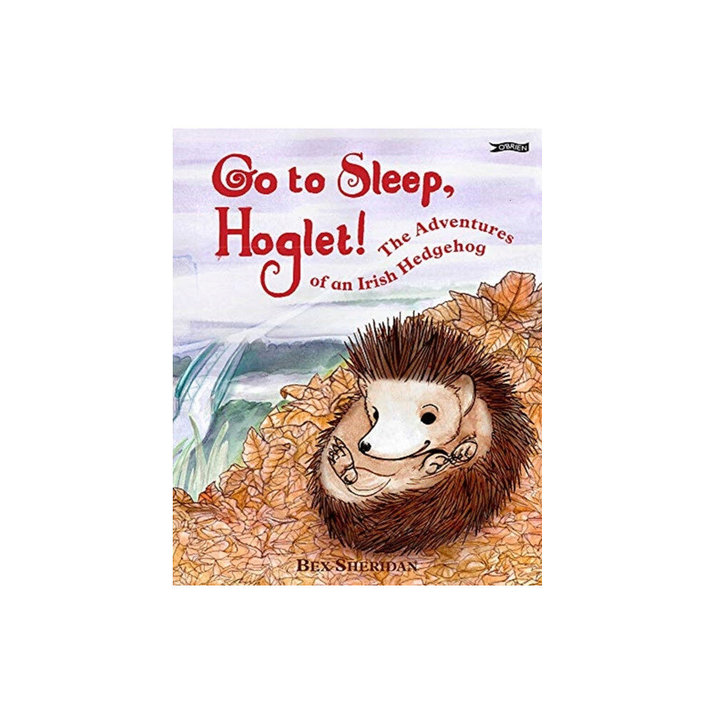 O'Brien Press Ltd Go To Sleep, Hoglet (inbunden, eng)