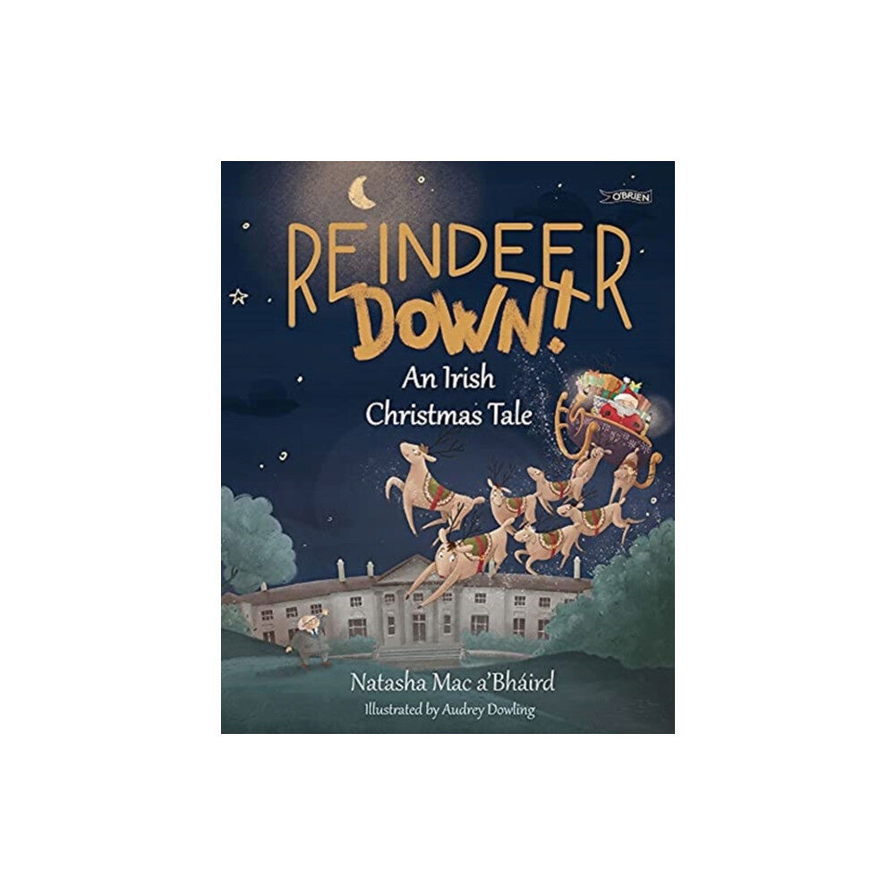 O'Brien Press Ltd Reindeer Down! (häftad, eng)