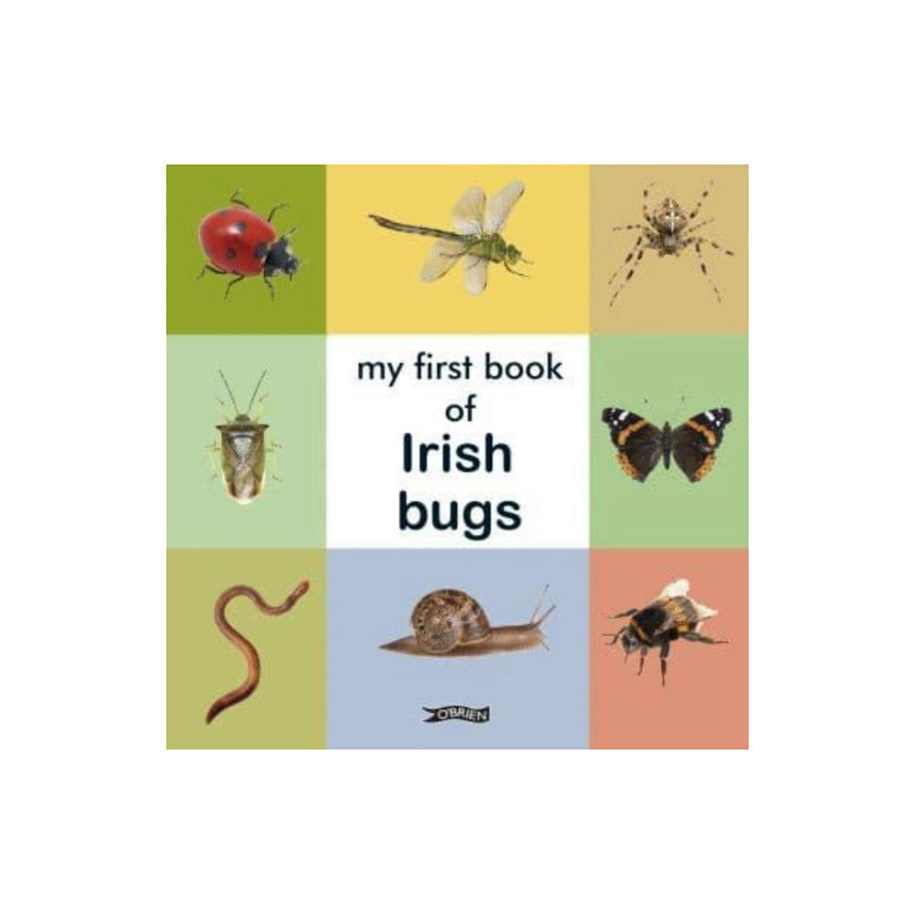 O'Brien Press Ltd My First Book of Irish Bugs (bok, board book, eng)