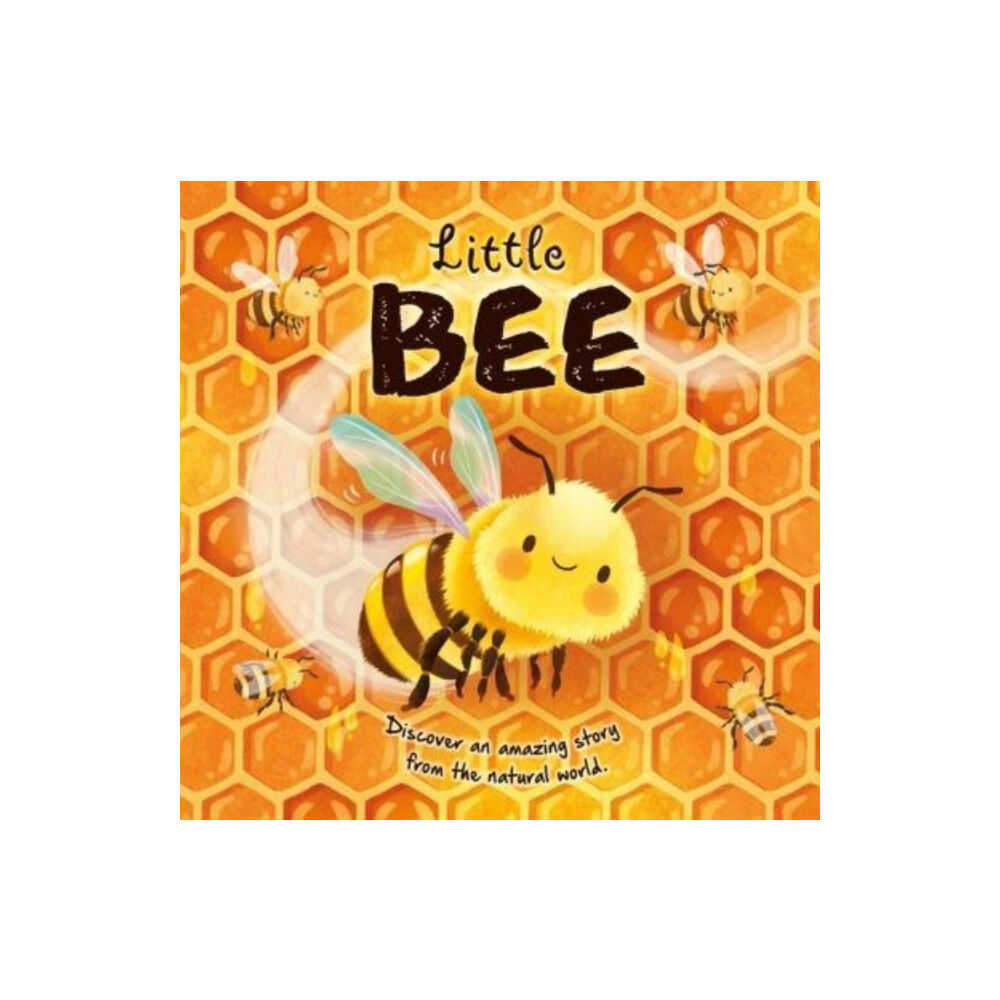 Bonnier Books Ltd Little Bee (inbunden, eng)