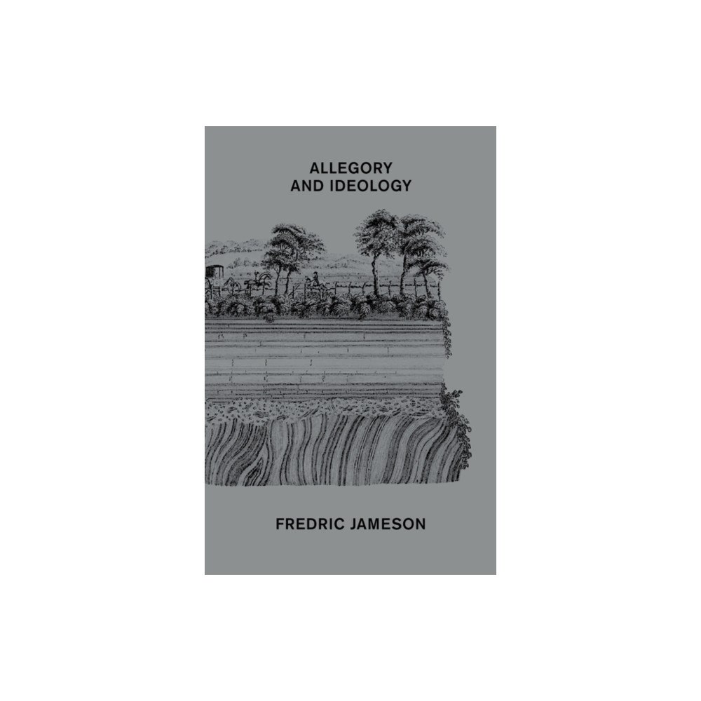 Verso Books Allegory and Ideology (häftad, eng)