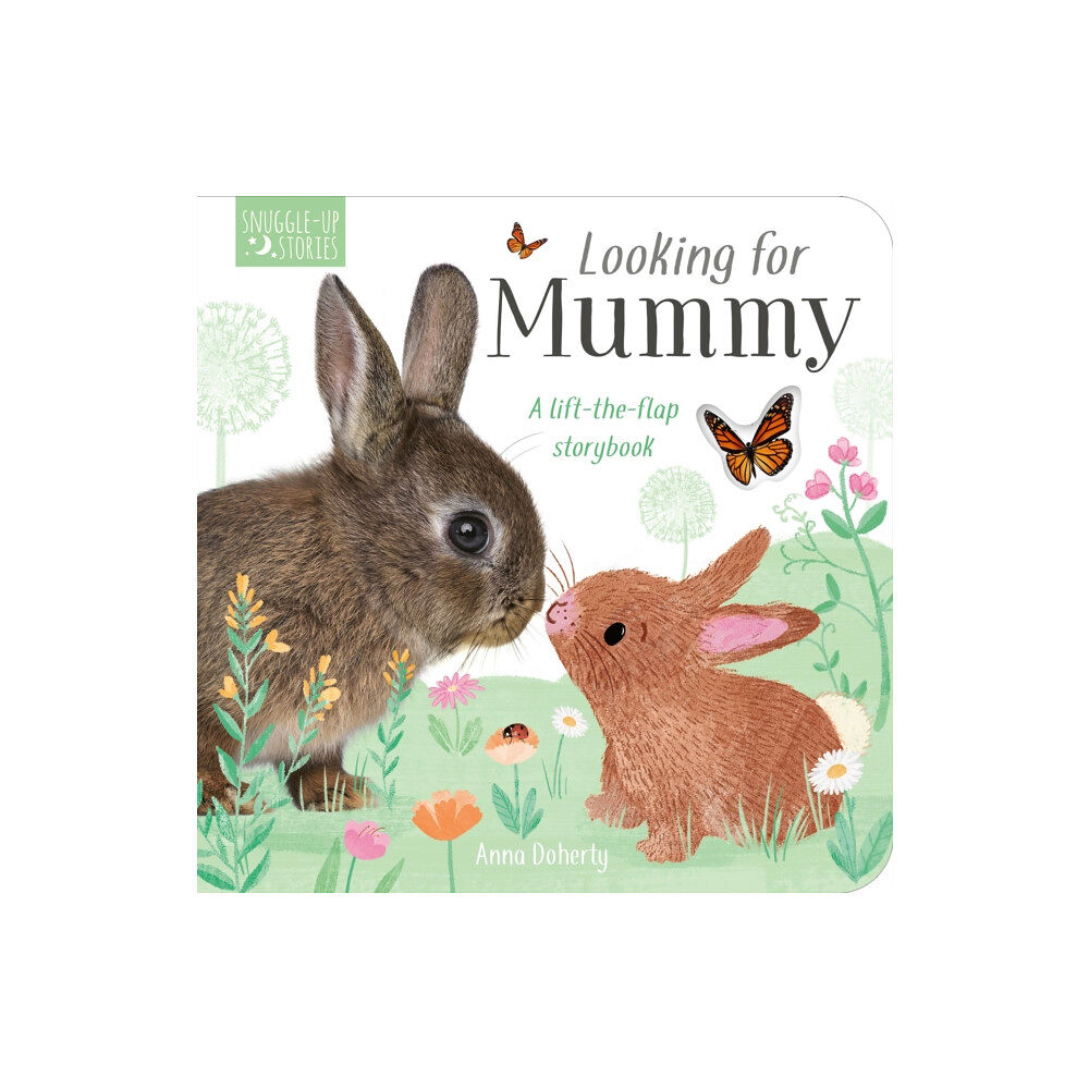 Little Tiger Press Group Looking for Mummy (bok, board book, eng)