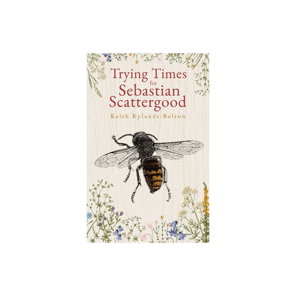 Cranthorpe Millner Publishers Trying Times for Sebastian Scattergood (häftad, eng)