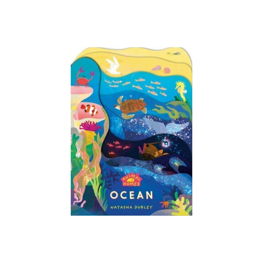 Templar Publishing Animal Homes: Ocean (bok, board book, eng)