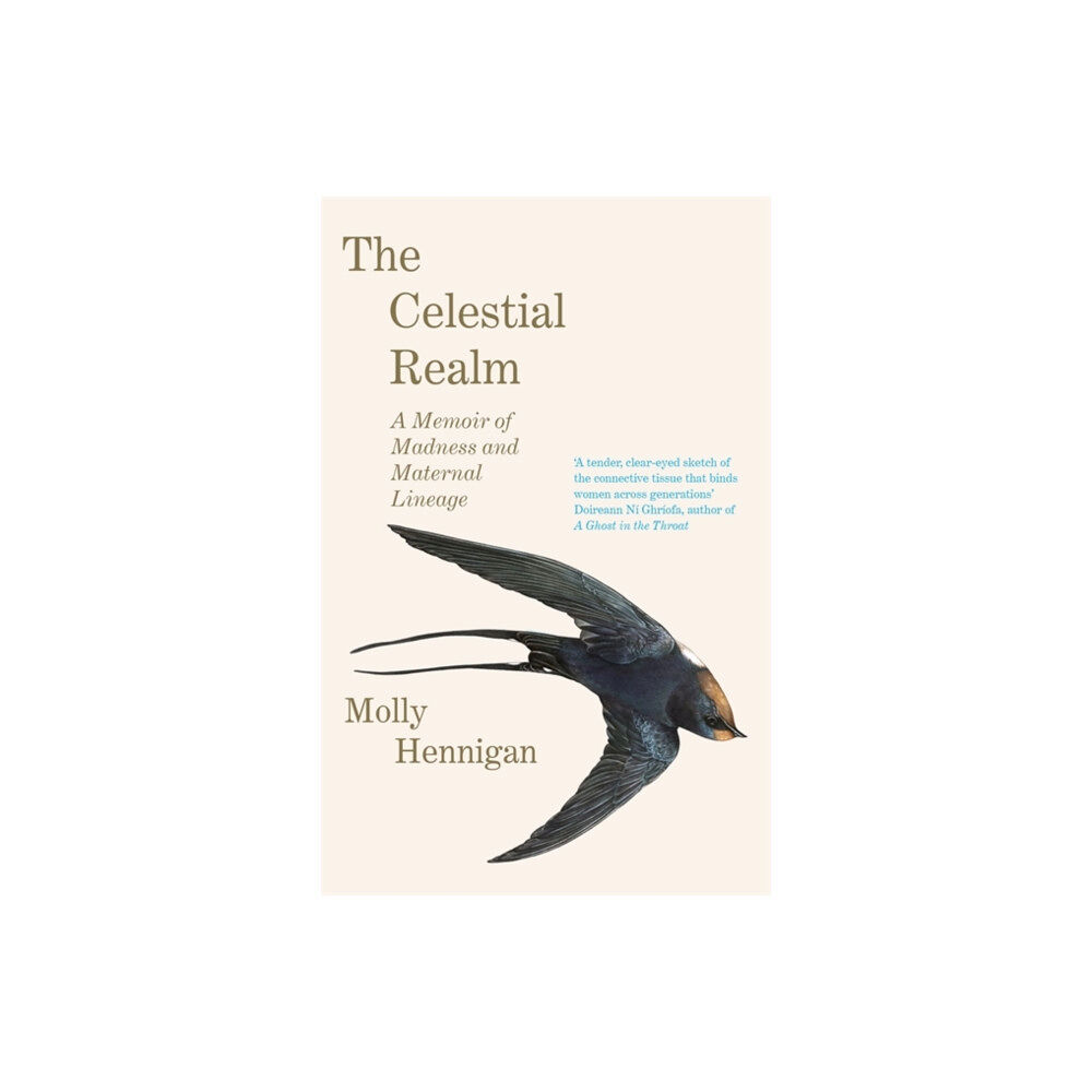 Bonnier Books Ltd The Celestial Realm: SHORTLISTED FOR THE SUNDAY INDEPENDENT NEWCOMER OF THE YEAR IRISH BOOK AWARDS (inbunden, eng)