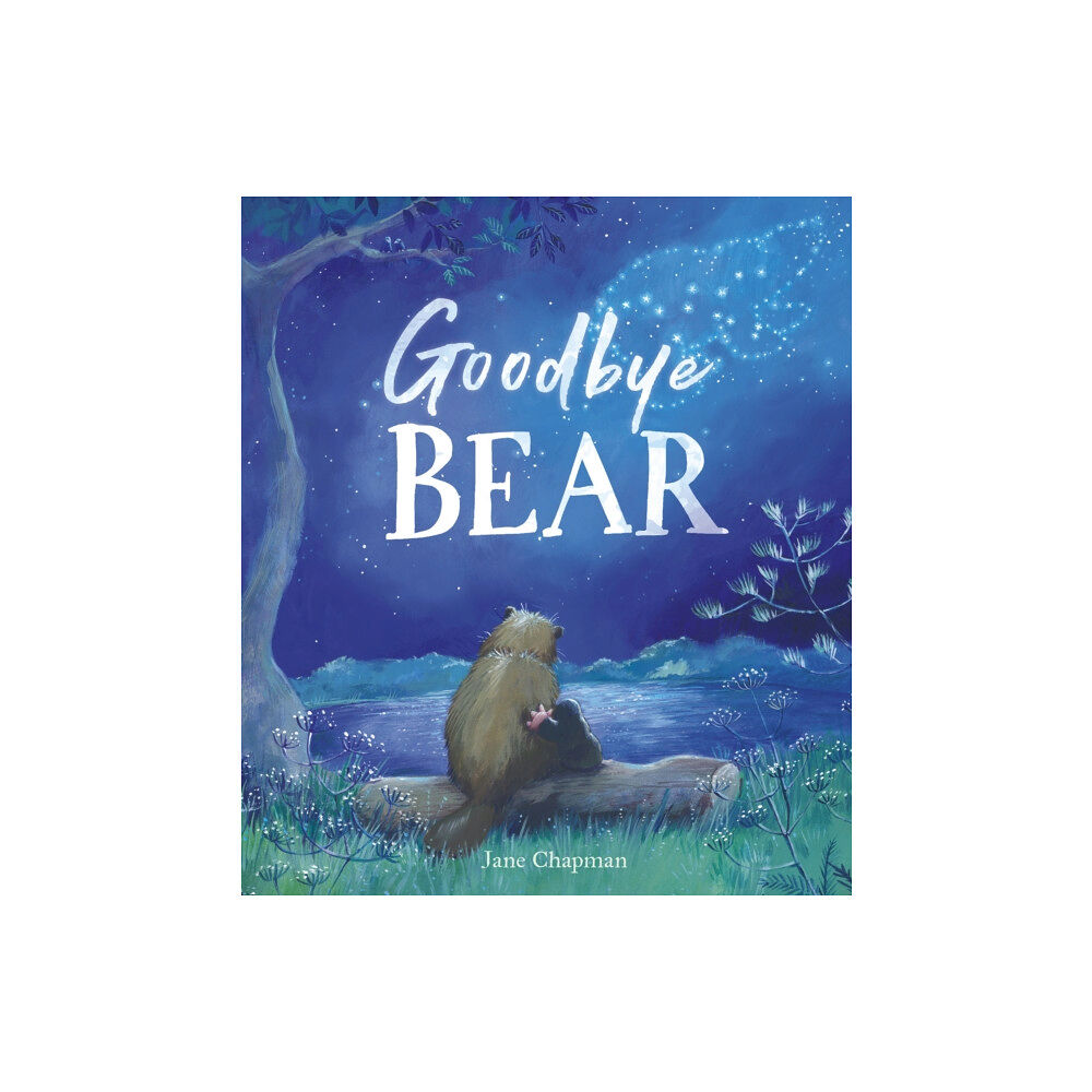 Little Tiger Press Group Goodbye Bear (inbunden, eng)