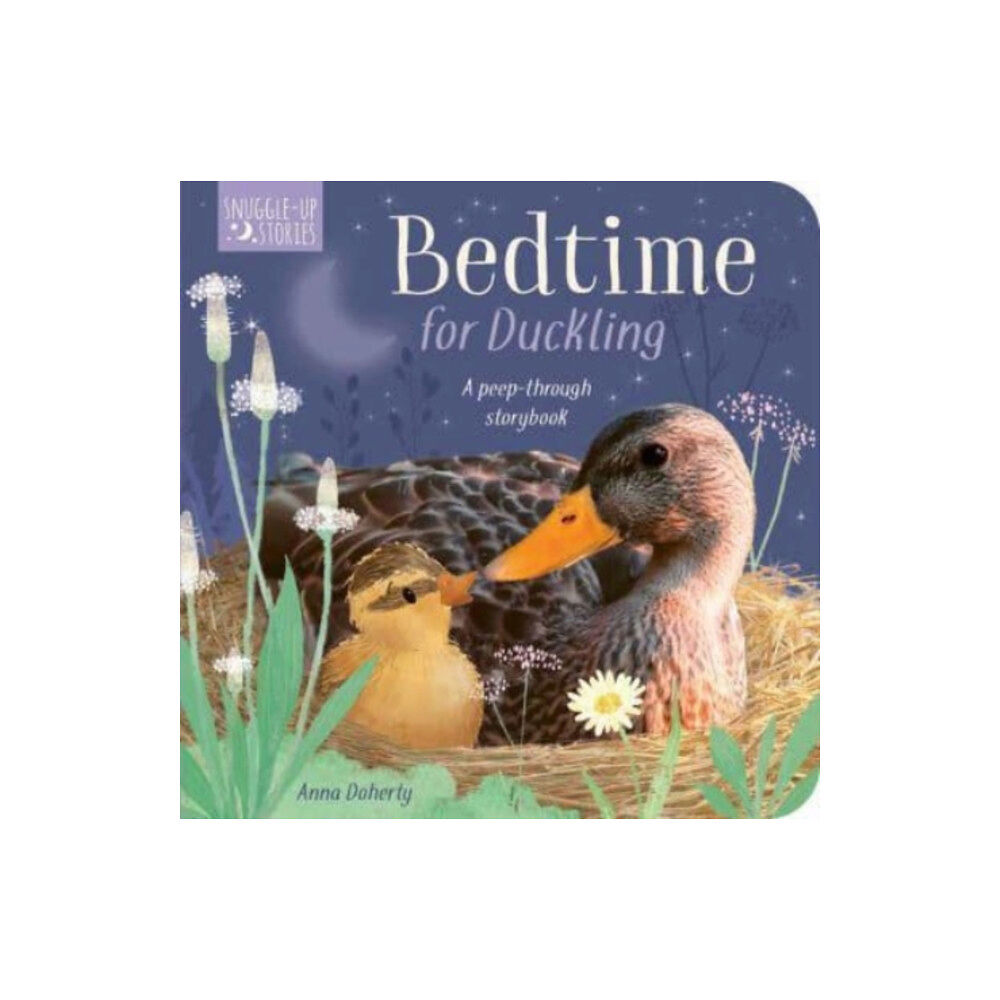 Little Tiger Press Group Bedtime for Duckling (bok, board book, eng)